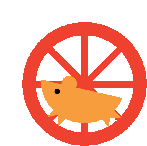 Spin